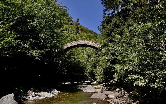 A single stone arch bridge over a rocky stream in a green forest near Rkoni Monastery