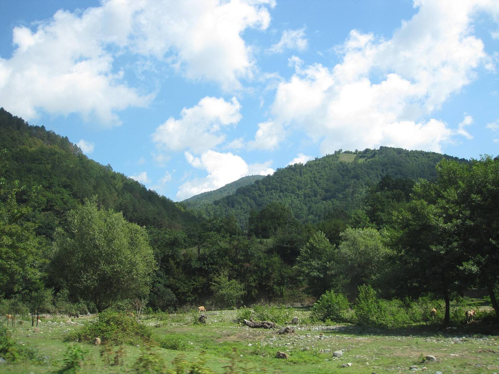 Green wooded slopes of the Likhi range near Surami under a pale sky