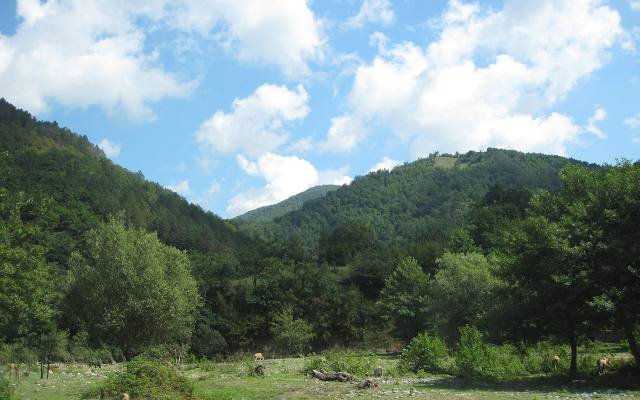 Green wooded slopes of the Likhi range near Surami under a pale sky